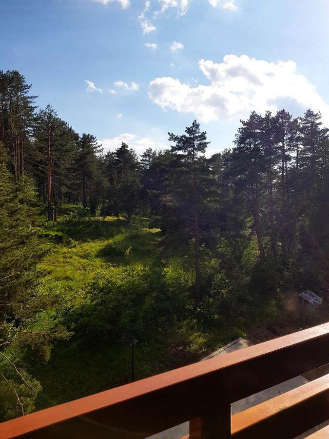 Zlatibor Holiday, Vila Leonardo VI المظهر الخارجي الصورة